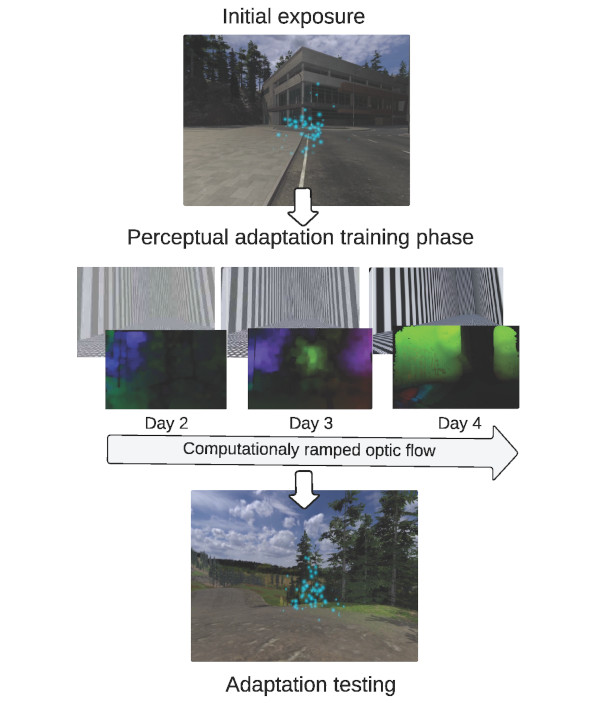 adaptation_training_flow.jpg