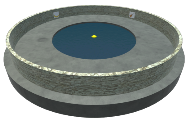watermaze.png